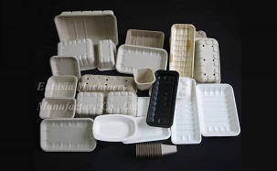 Summary of China market analysis of pulp molding products