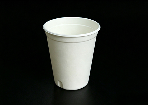 molded pulp paper cup 12oz
