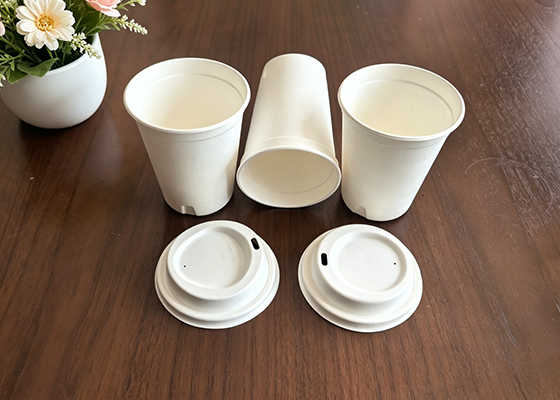 molded-pulp-lid&cup