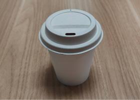 Molded Pulp Cup Lid