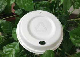 Molded Pulp Cup Lid