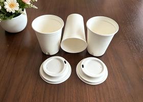 molded-pulp-lid&cup