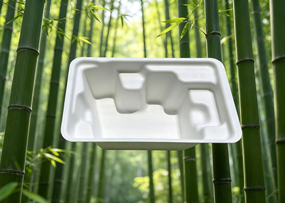 High-end pulp molding industrial packaging