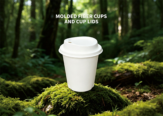 Double-sided Smooth Molded Pulp Cups+Lids